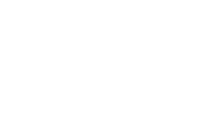 The Driving Experiences