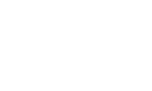 Vservice